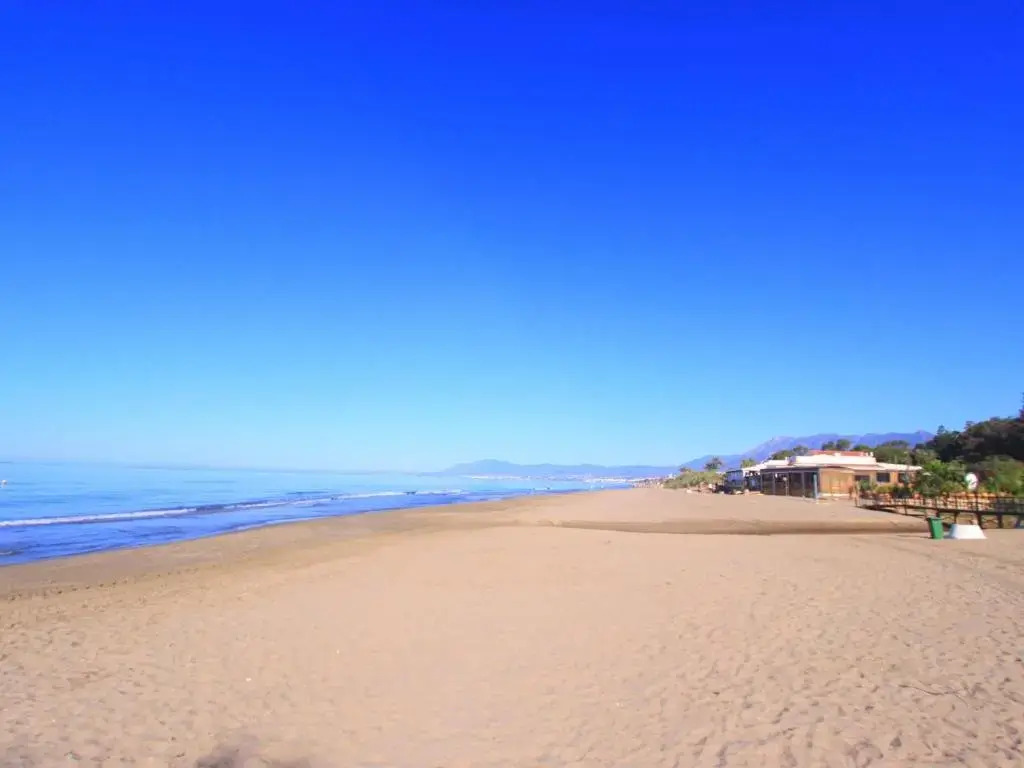 1093 modern beach apartment , huge terrace , bbq
