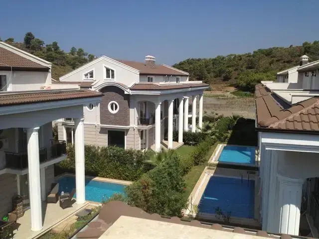 Dream of Holiday Calis