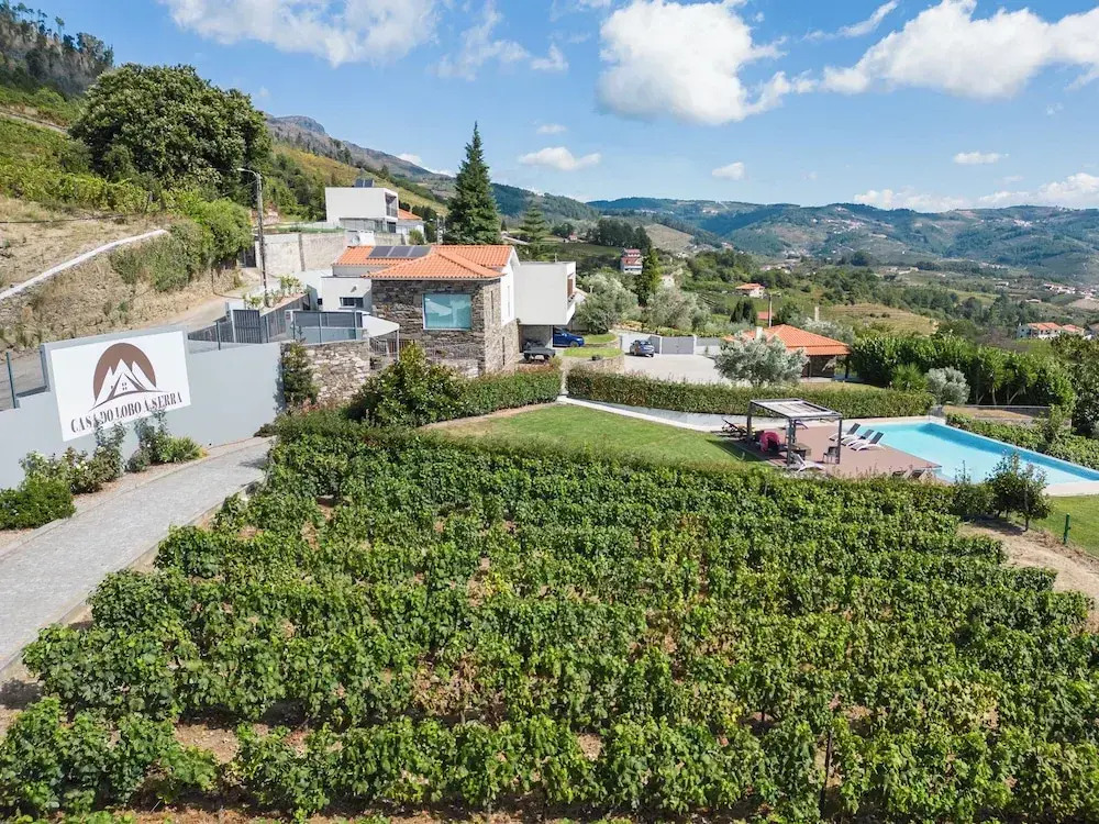 Feel Discovery Douro LAS House