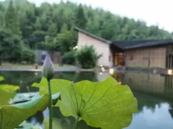 Moganshan UNDO Jingxin Homestay