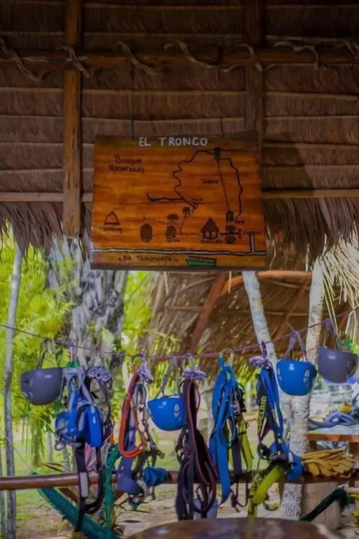 Tronco Tambopata Adventure