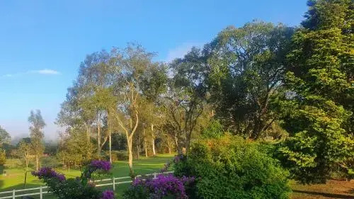 Hotel Fazenda Pedra Selada