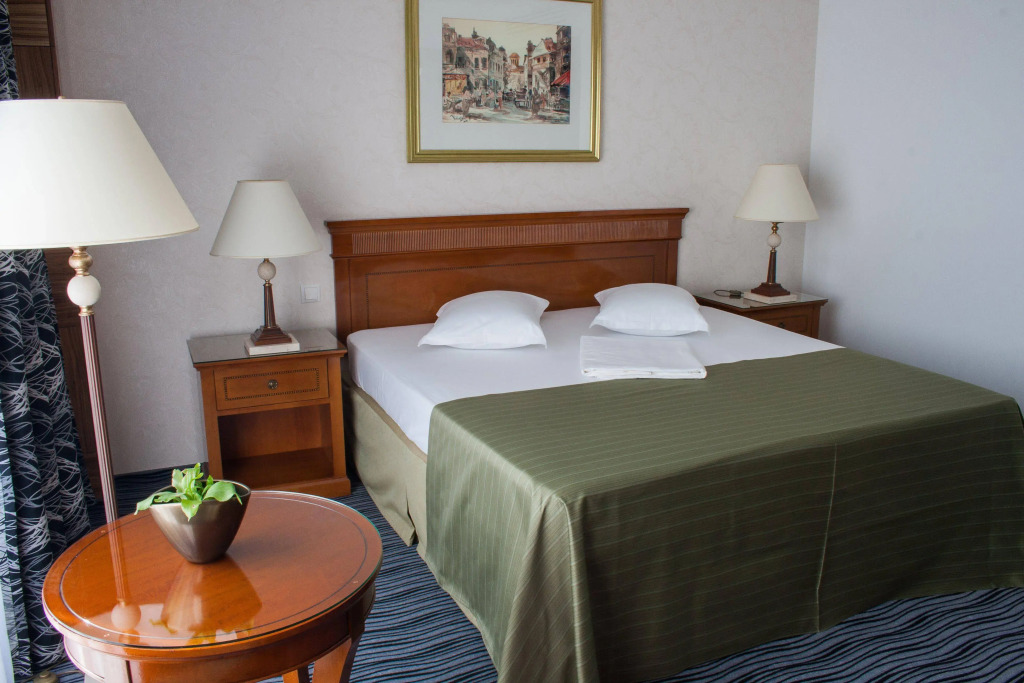 Hotel Oltenia