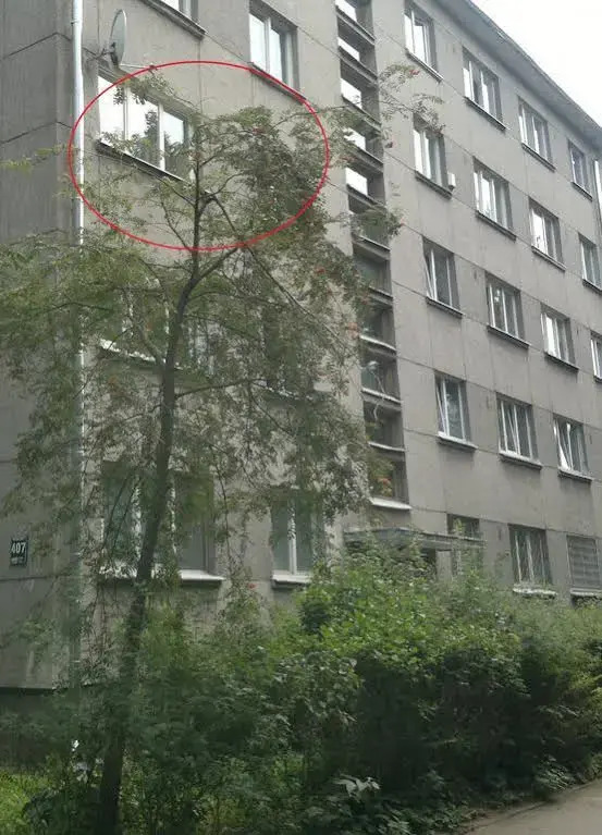 Accommodation 407