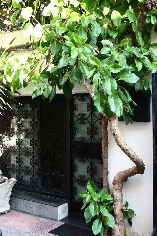 Daniela House