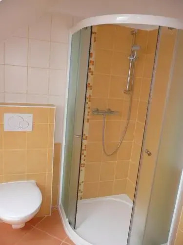 Hotel Vír