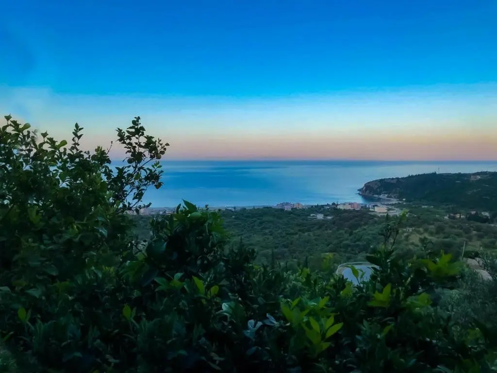 Aphrodites Garden