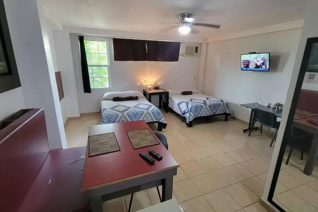 DepaB privado, centrico,Wifi 80 mb ,aire acondicionado ,cocina, cochera techada,