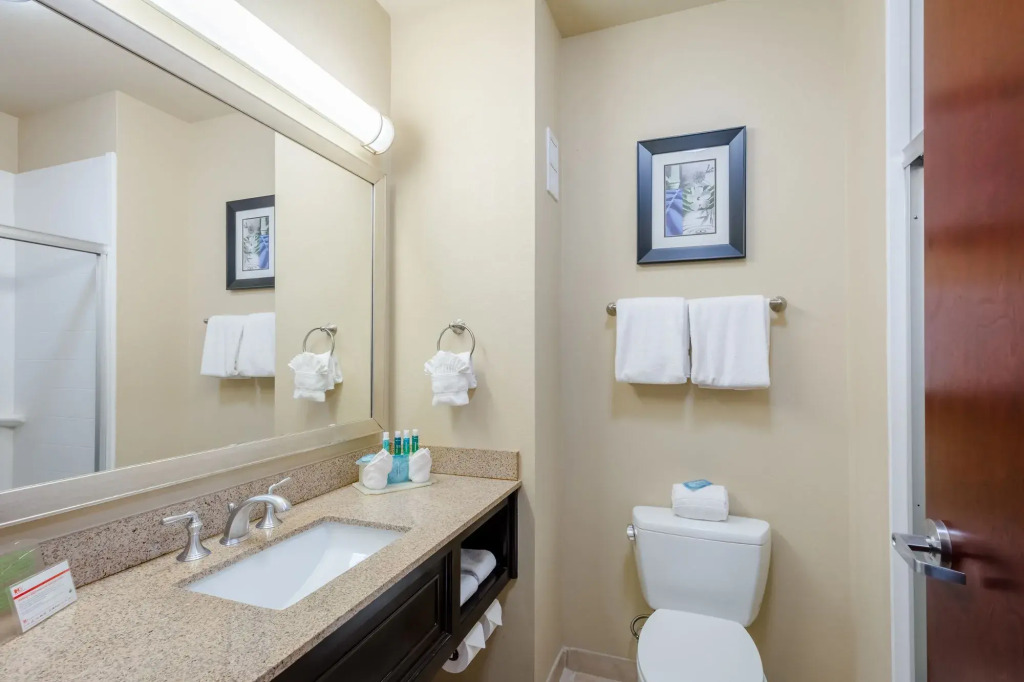 Holiday Inn Express Hotel & Suites Dallas West by IHG