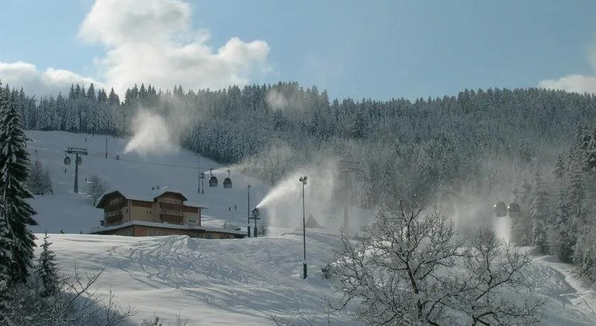 Kollerhof
