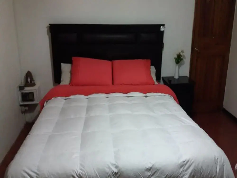 HOSTAL EL AROMO Chillán