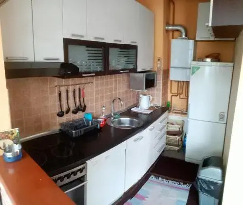 Apartment Center Drvenija