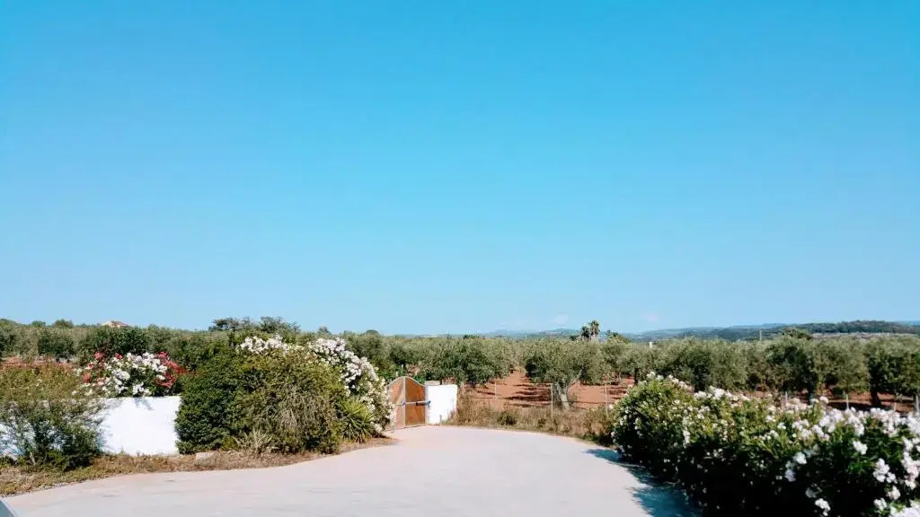 VILLA RAFAEL CON Piscina, IUN P4098