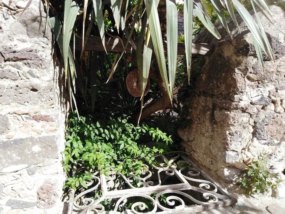 Casa Saba
