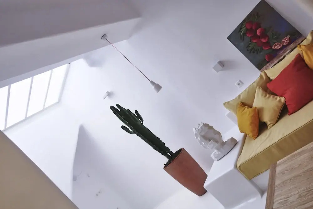 Ficus Villa Mykonos