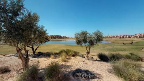 Gingko 278656 - A Murcia Holiday Rentals Property