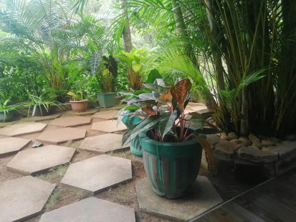 Ella Flower Garden Resort