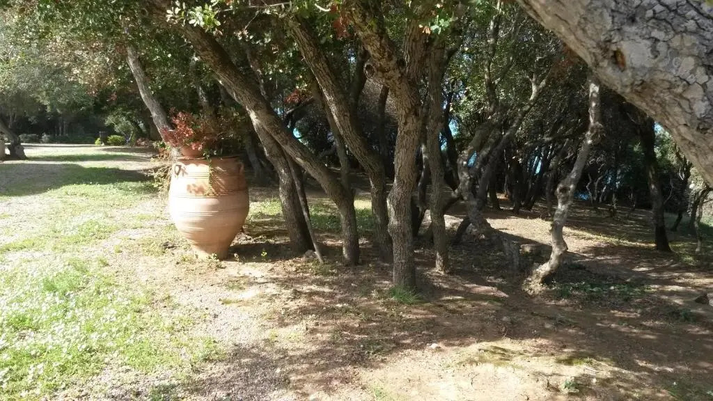 Villa Feia