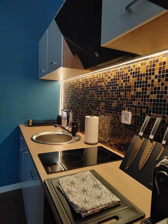 Unique studio apartment in city center