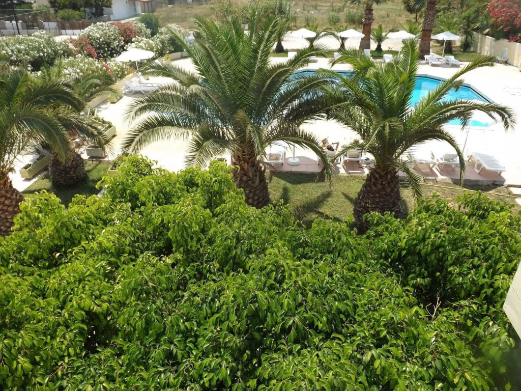 Leonidas Hotel & Studios