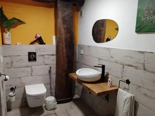 Casa Rural Nemesio