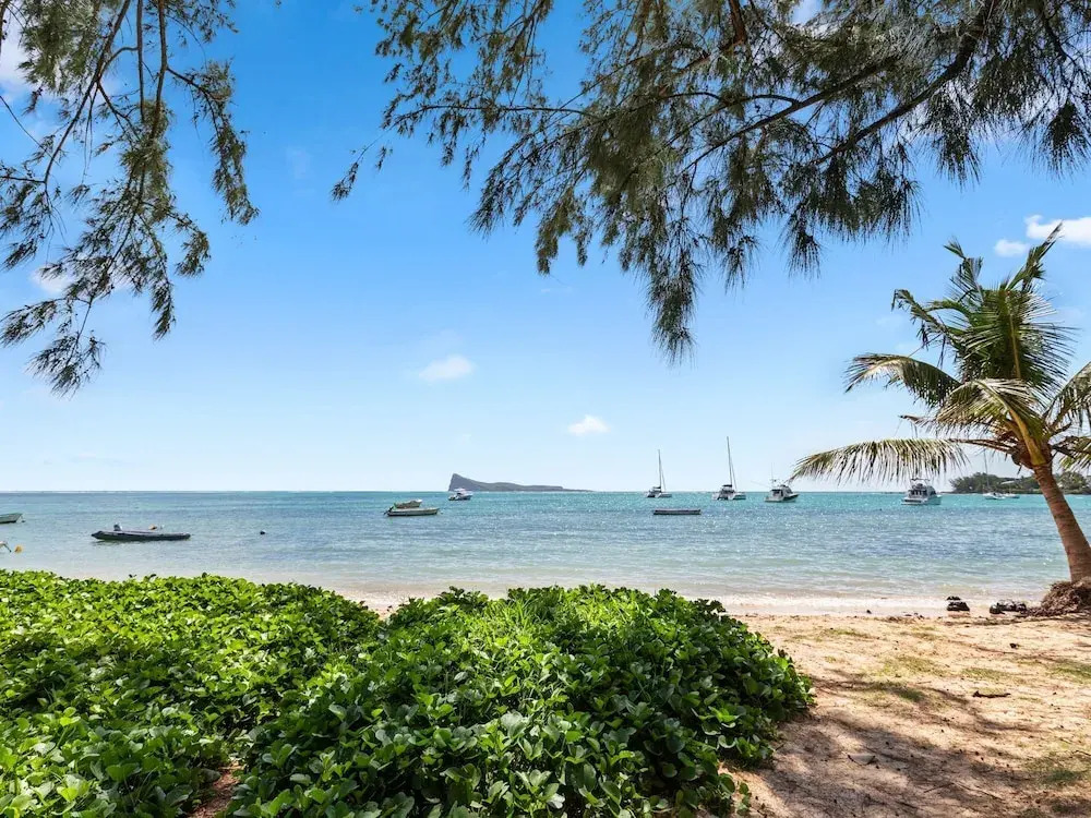Grand Bay Heights C8