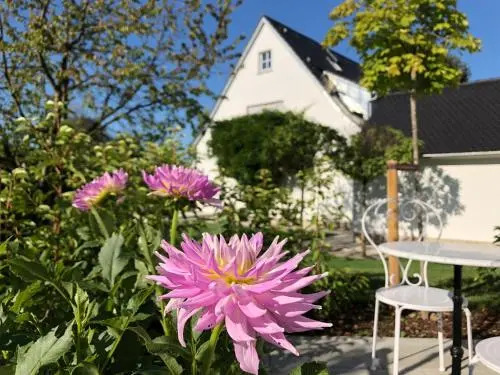 B & B Villa Dahlia