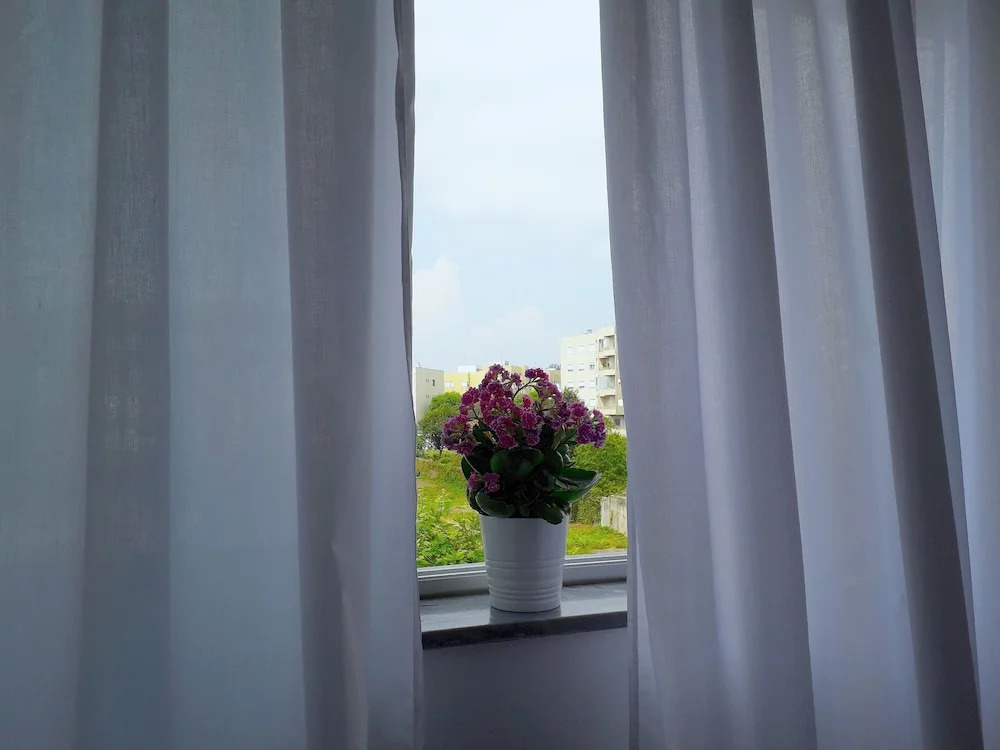 Braga Charm Apartment