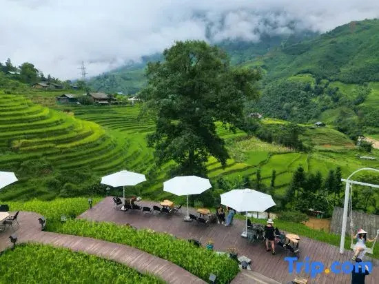 MT House Sa Pa - Mountain & Terraced fields View And Trekking Tour