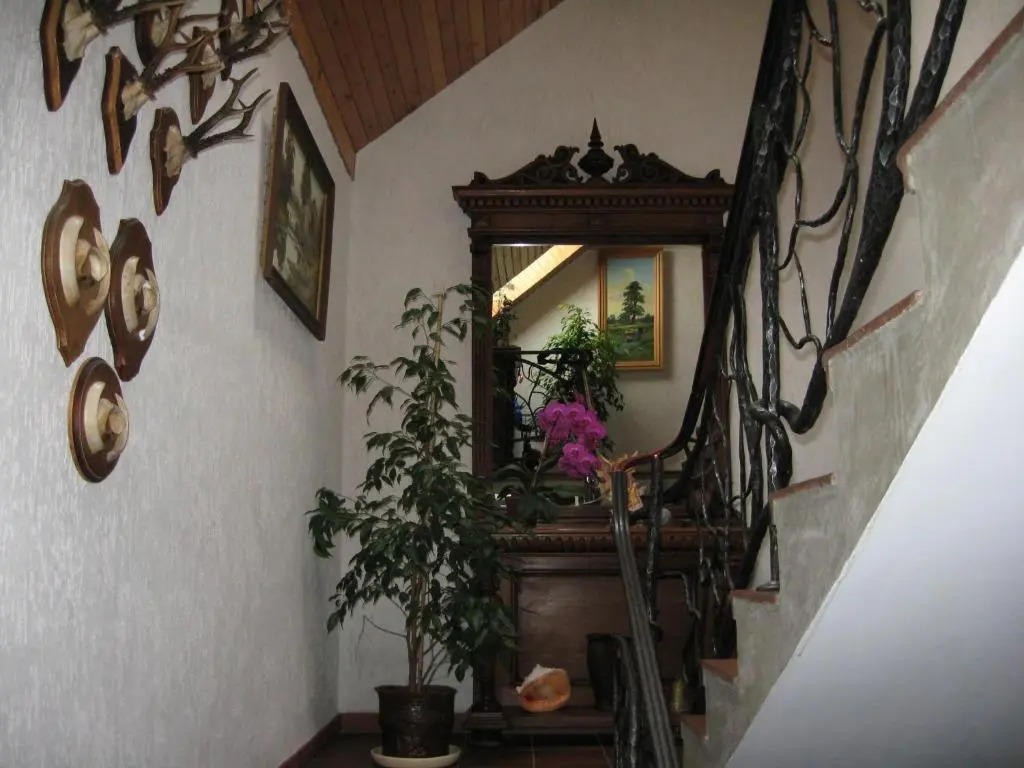 Vila Elvyra