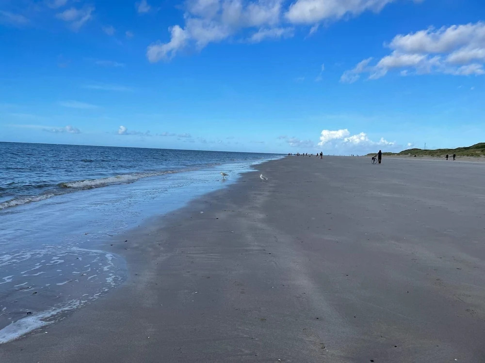 4 Person Holiday Home in Blavand