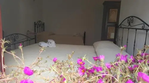 B&B "Sas Coltese"