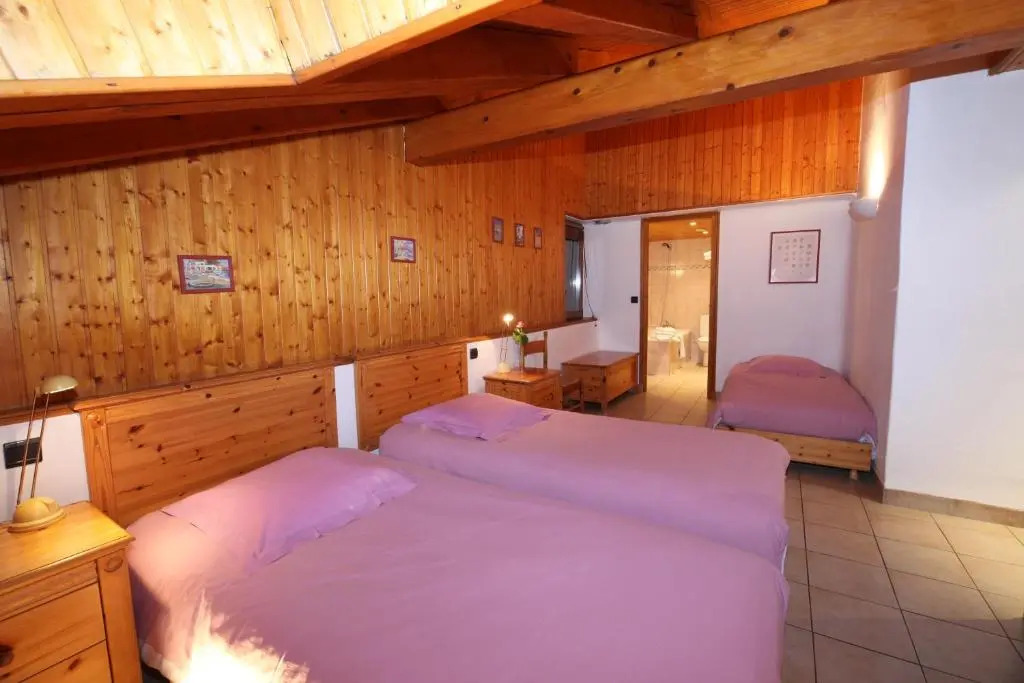 Duplex 260m2 foot of slopes - Living room lounges with fireplaces