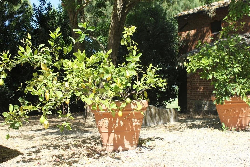 Casa Burraia