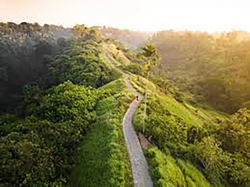 The Alus Cottages Ubud