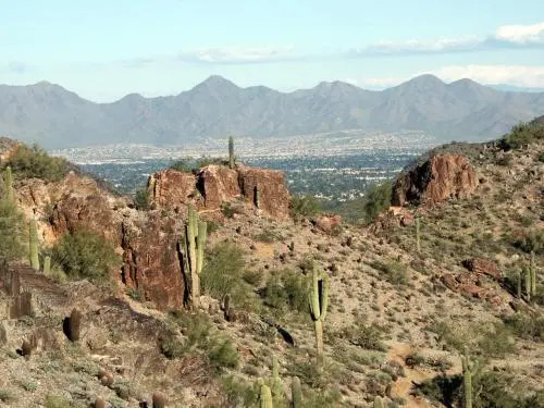 Phoenix Condo