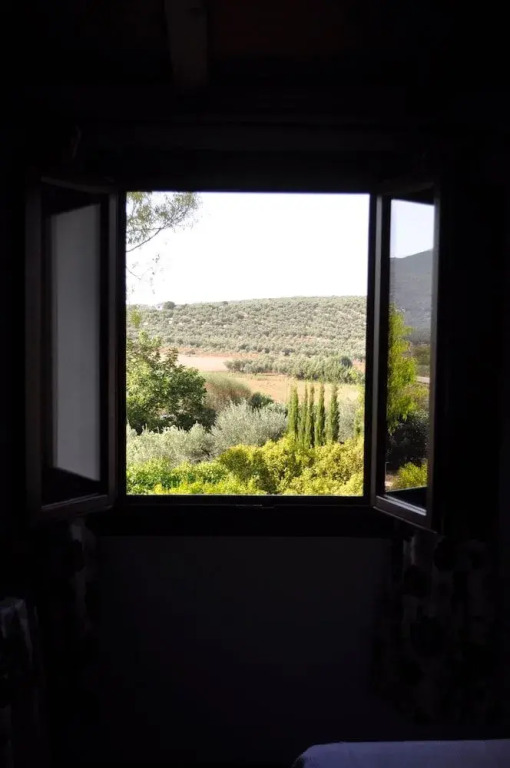 Rural La Paloma