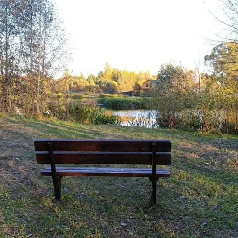 Рябинушка 1