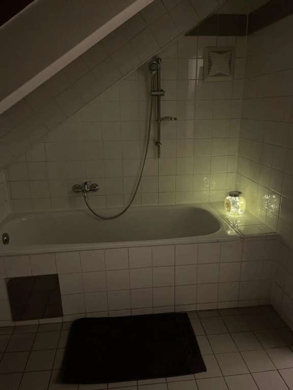 Ruhiges Dachgeschoß CityApartment im Zentrum Wiens