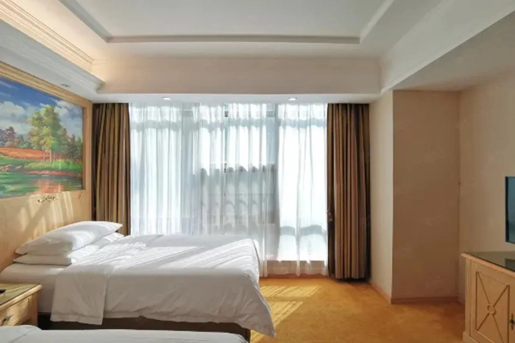 Vienna Hotel (Shenzhen Window of the World, Qiaocheng East Metro Station)