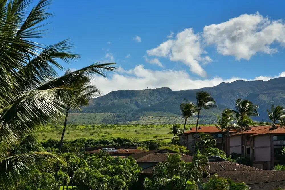 Kaleialoha 403