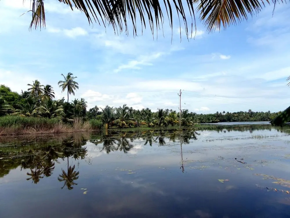 Houseboat Cruise in the Backwaters of Kerala