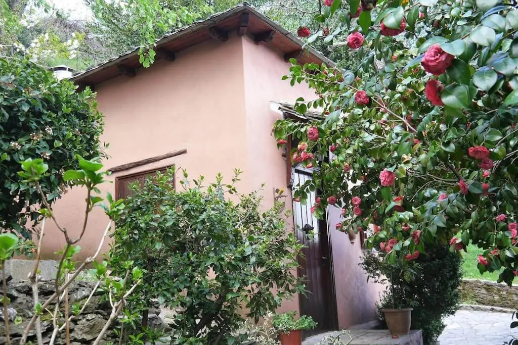 Wonderful 4 Bedroom Villa & separate guest house Villa Thalia