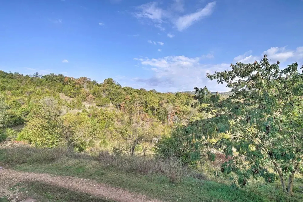 5 Mi to Marvel Cave: Ground-level Branson Apt!