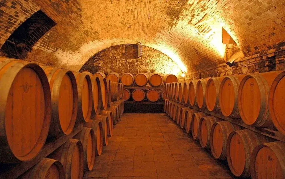 Fattoria Casa Sola