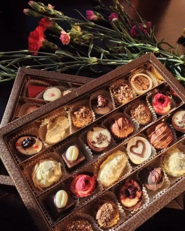 Chocolate hostel