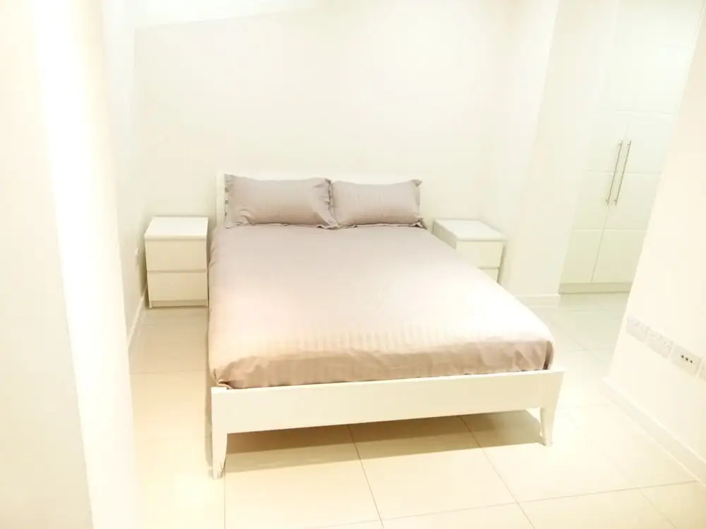 SS Property Hub - Large apartment near Hyde Park