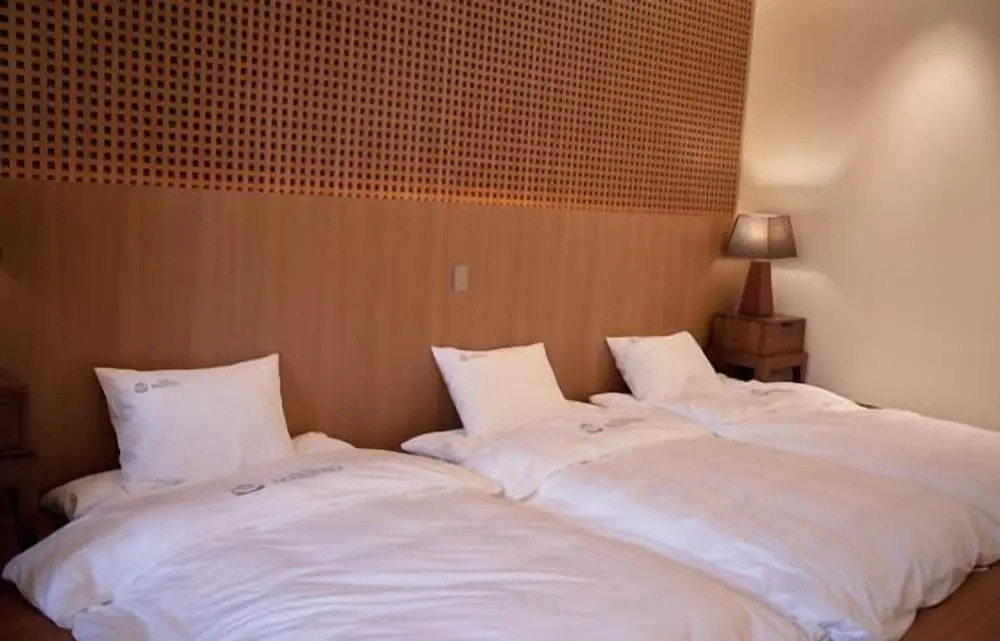 Hotel Maestro