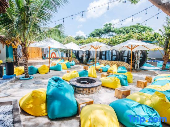 Simple Camp Vung Tau Homestay