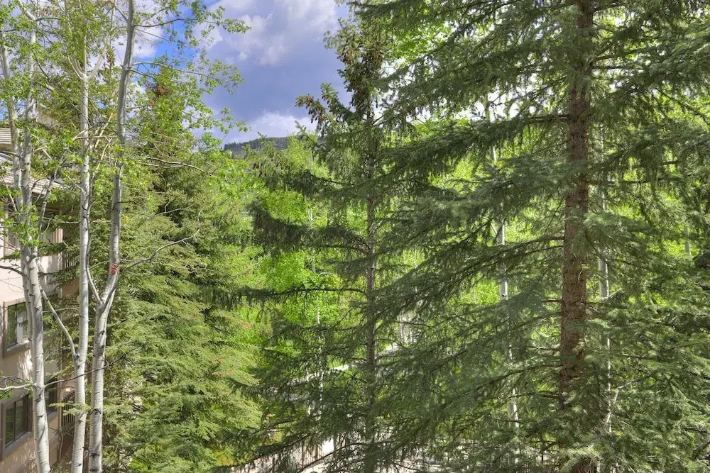 Newly Remodeled Spacious 1 Bedroom 1 Condo by RedAwning